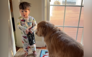 hudson waits receive dog treat