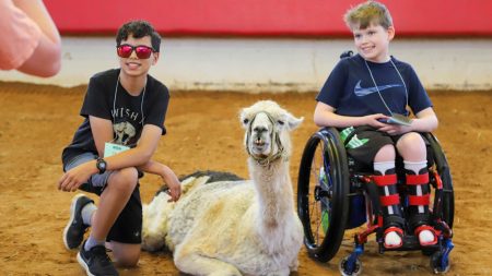 worlds oldest llama with children