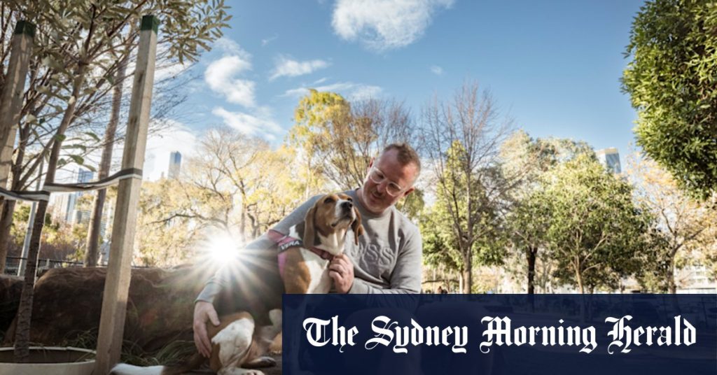 1dd10d6c57b6b3fd291ce01b1055f63b18e97efd