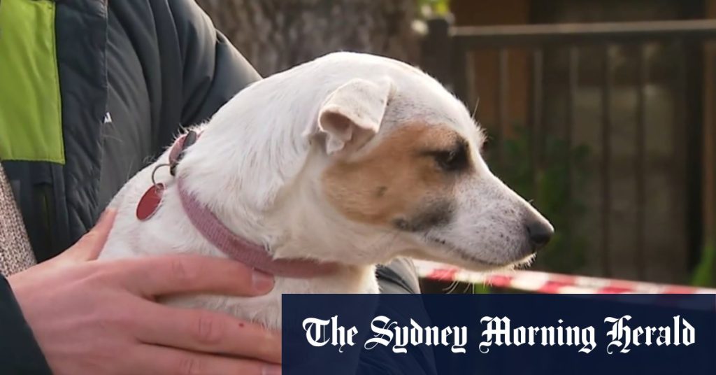 4d6116e344590fe6e2cd5e698aba08a49c170476