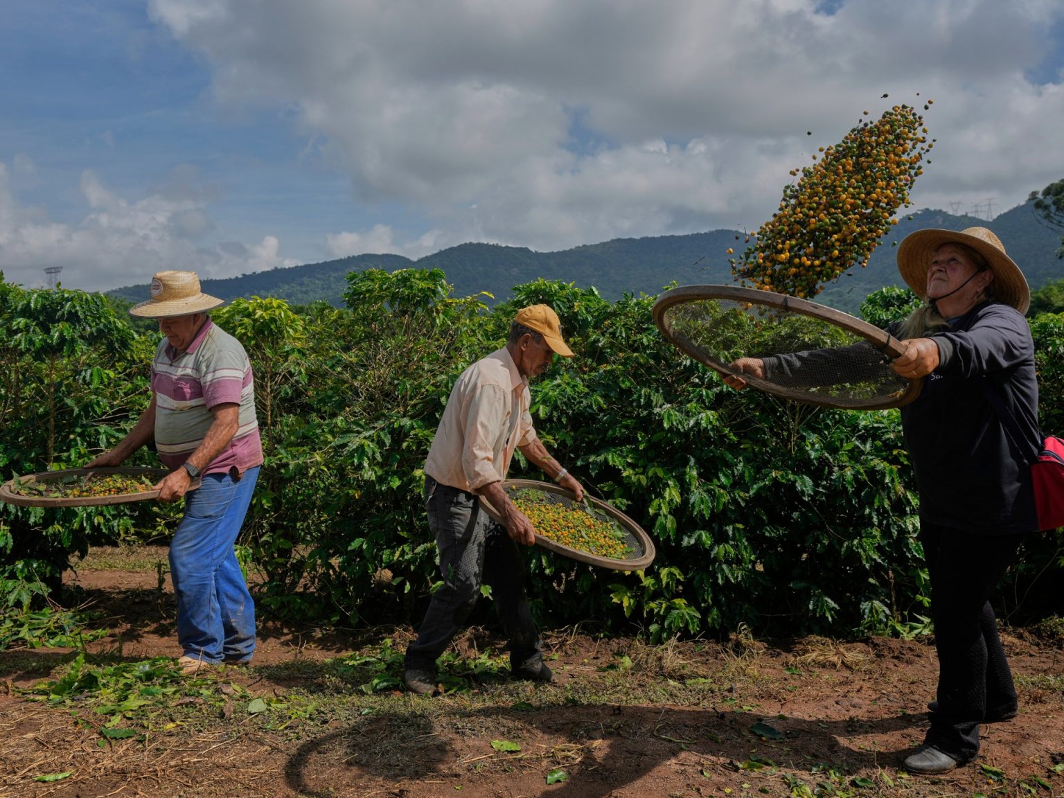 AP25204009143146 1753351993