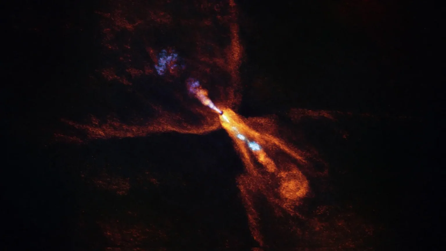 alma image of hops 315.webp