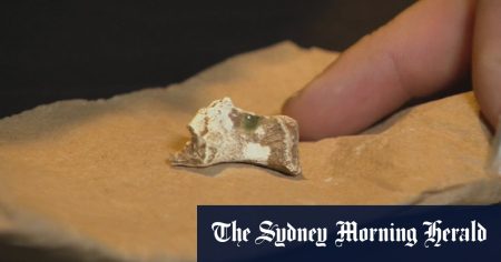 cb92cd4d8586363b7d75ff429473e139d6df81a5