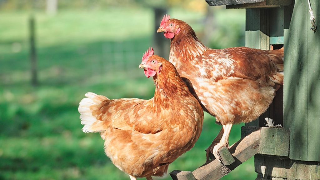 gettyimages 155096602