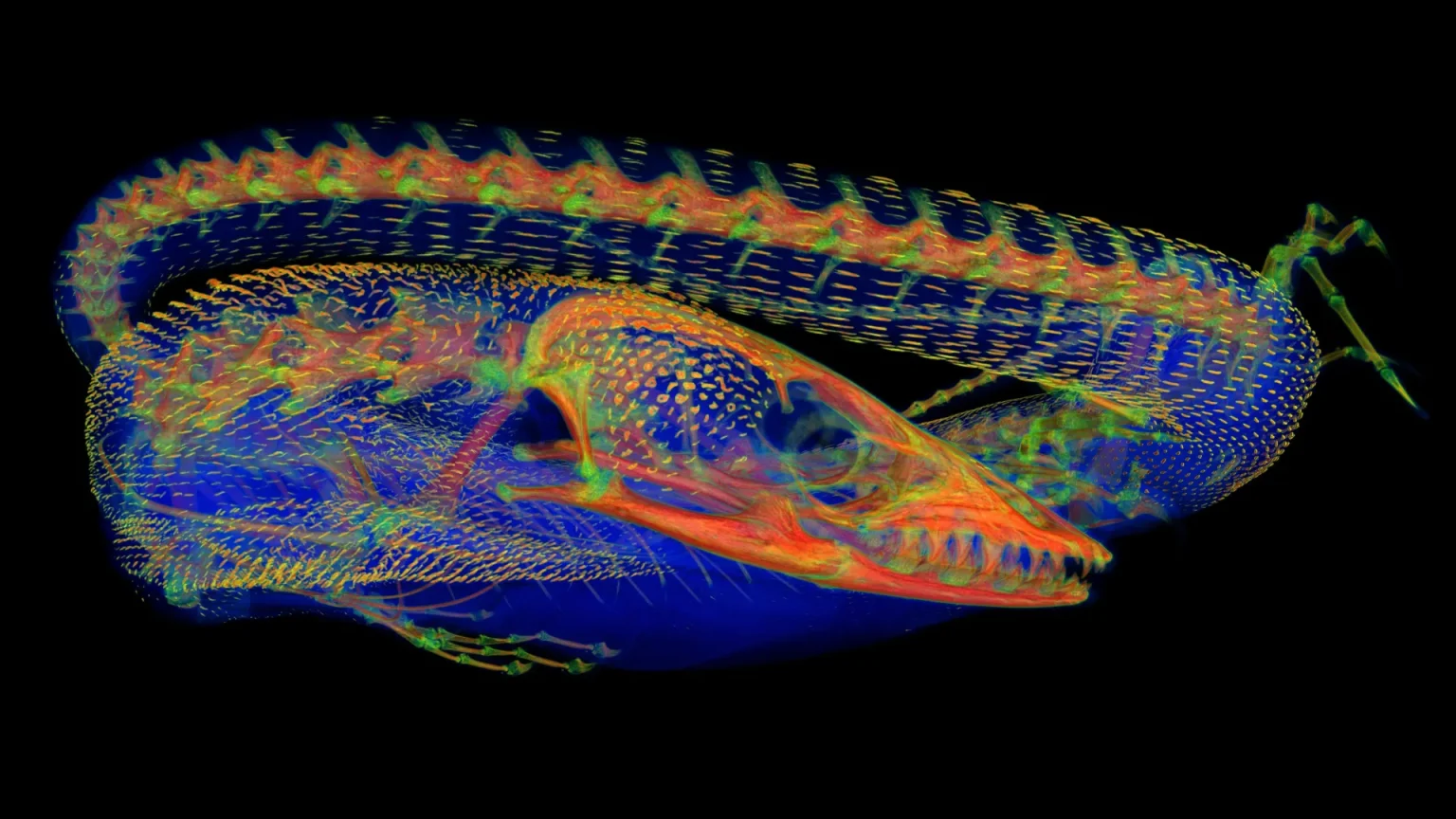 green tree monitor.webp