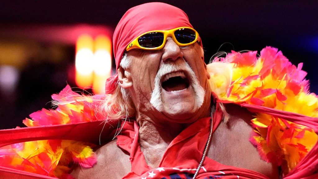 hulk hogan3