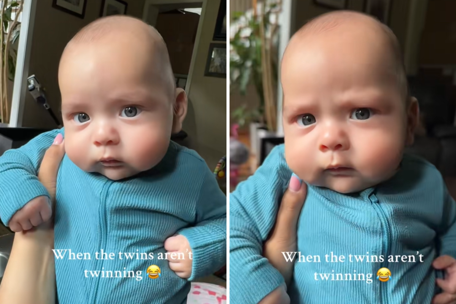 jacqueline zamores son