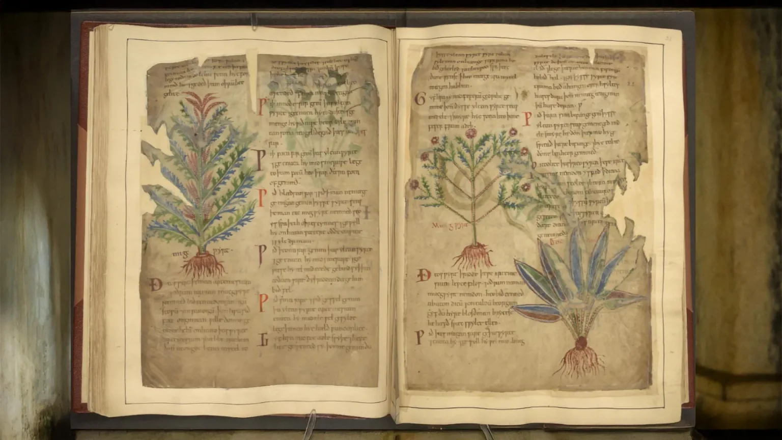 medieval medicine manuscript.webp