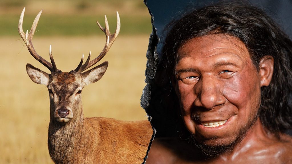 neanderthal deer