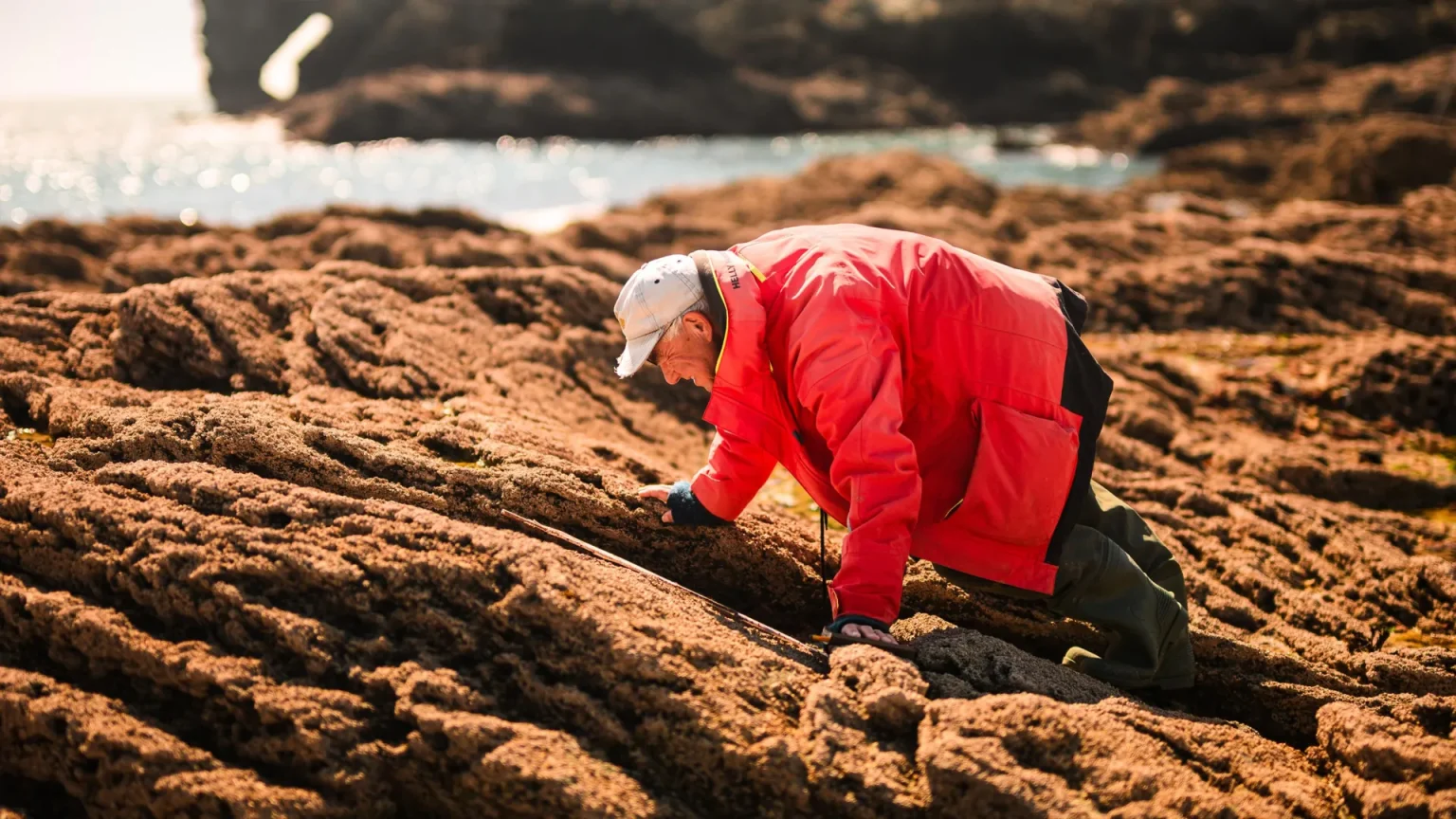 professor stephen hawkins.webp