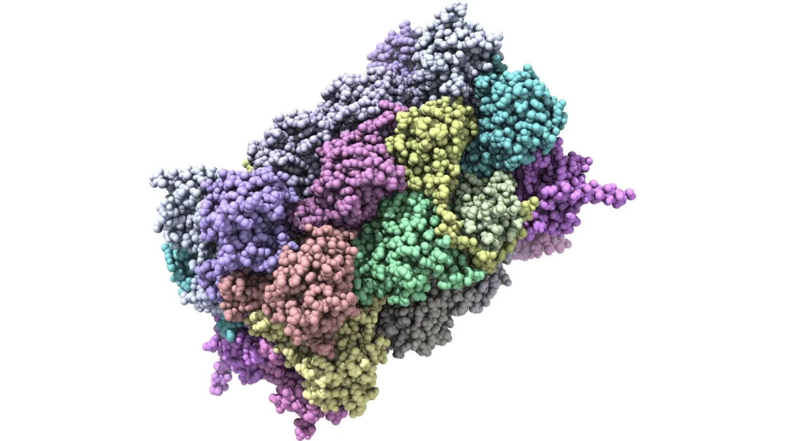 proteasome.webp