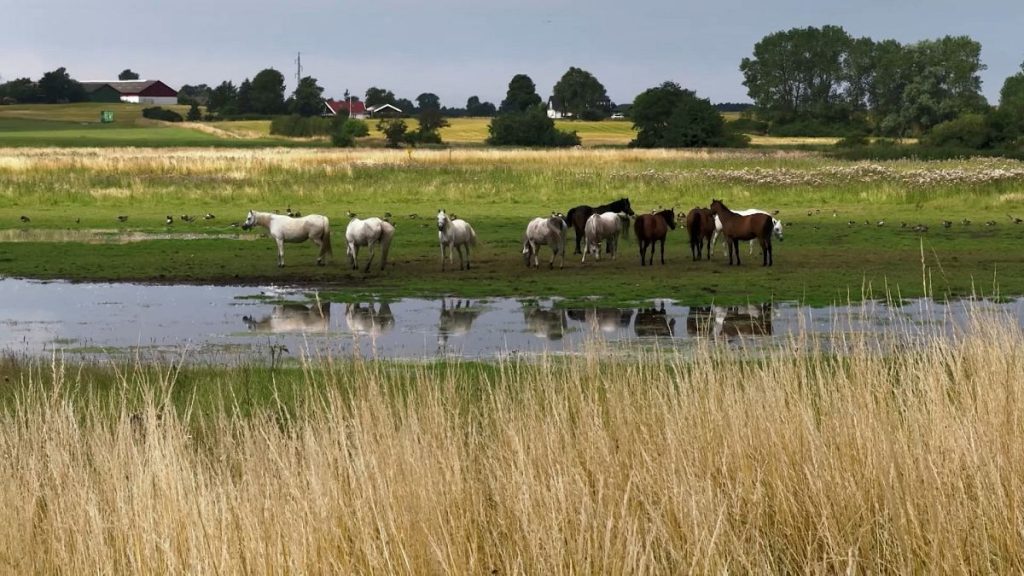 1200x675 cmsv2 0d02b90b 70a1 5a79 be09 921ba56ca649 9384073