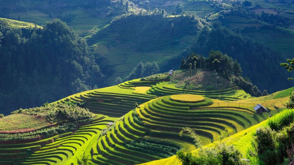 1200x675 cmsv2 1654b790 1063 5095 a37c d8739aa1a6fc 9418639