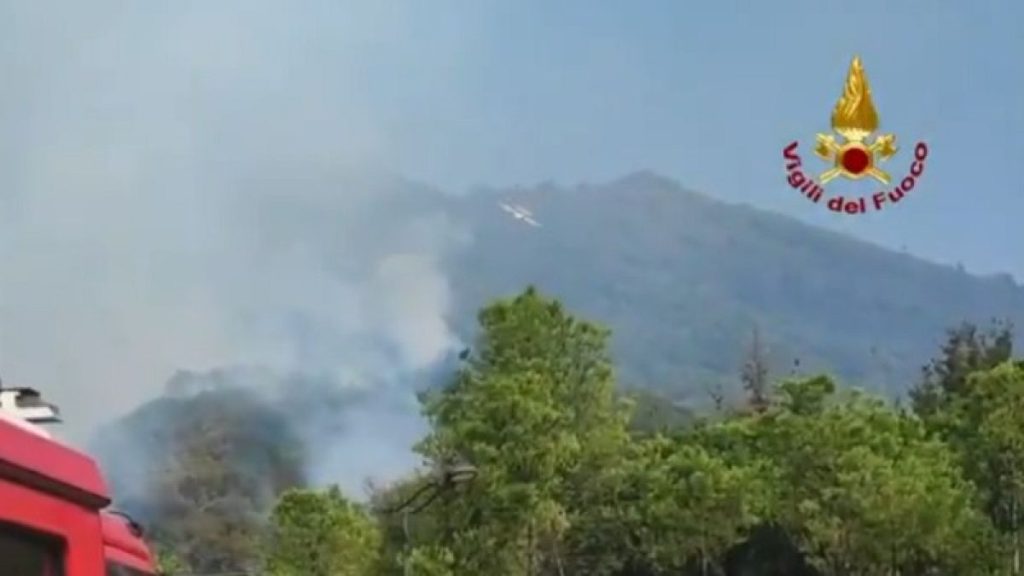 1200x675 cmsv2 406d9d8a 14d5 5770 9f96 da3a07c81475 9413236