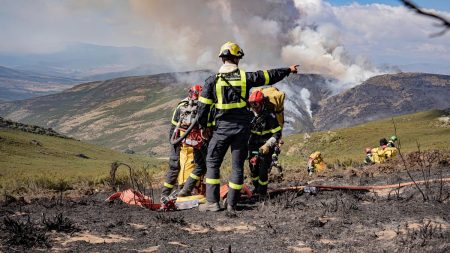 1200x675 cmsv2 9fd48fb1 0600 5042 a41c a921a73b5088 9431550