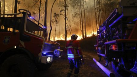 1200x675 cmsv2 cce4d7cc 0db6 546e 8c06 62fc48d71c15 8742360