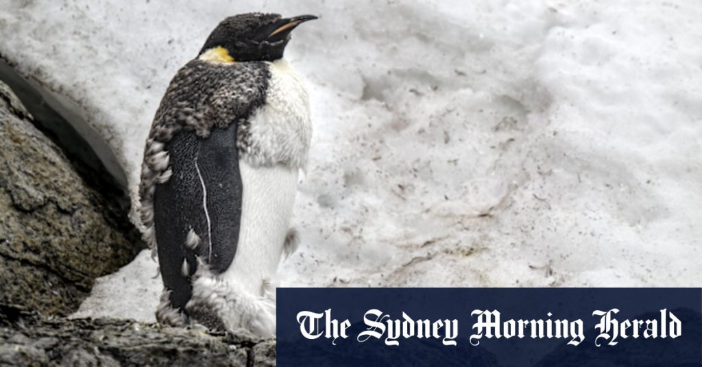 12a5b99d90079f315ee9fca4ec5e96ebb8caa129