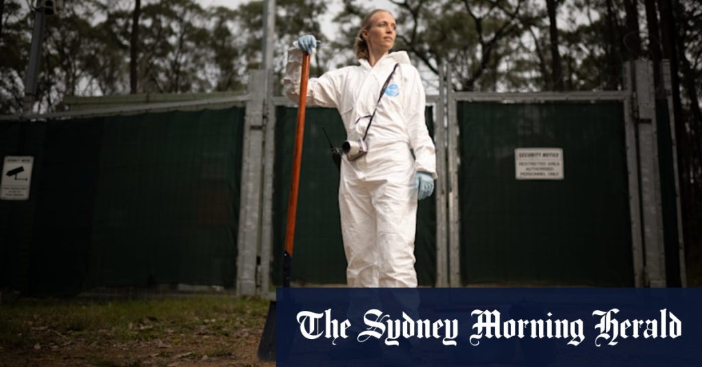 2522ce9a8c7af992cb69354304fb18d9285220e5