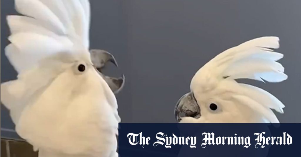 54802d562dff0e9d6c14180e34d67945244edaa1