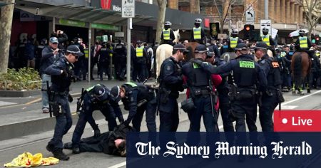 818817ff076ba9cd6d42e4167dbf082235e9e7ba5ba40bcbb24cf15273be0e59