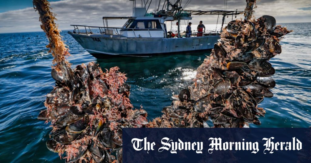 9de0039c911663c381af38fc13e4dee28662633e