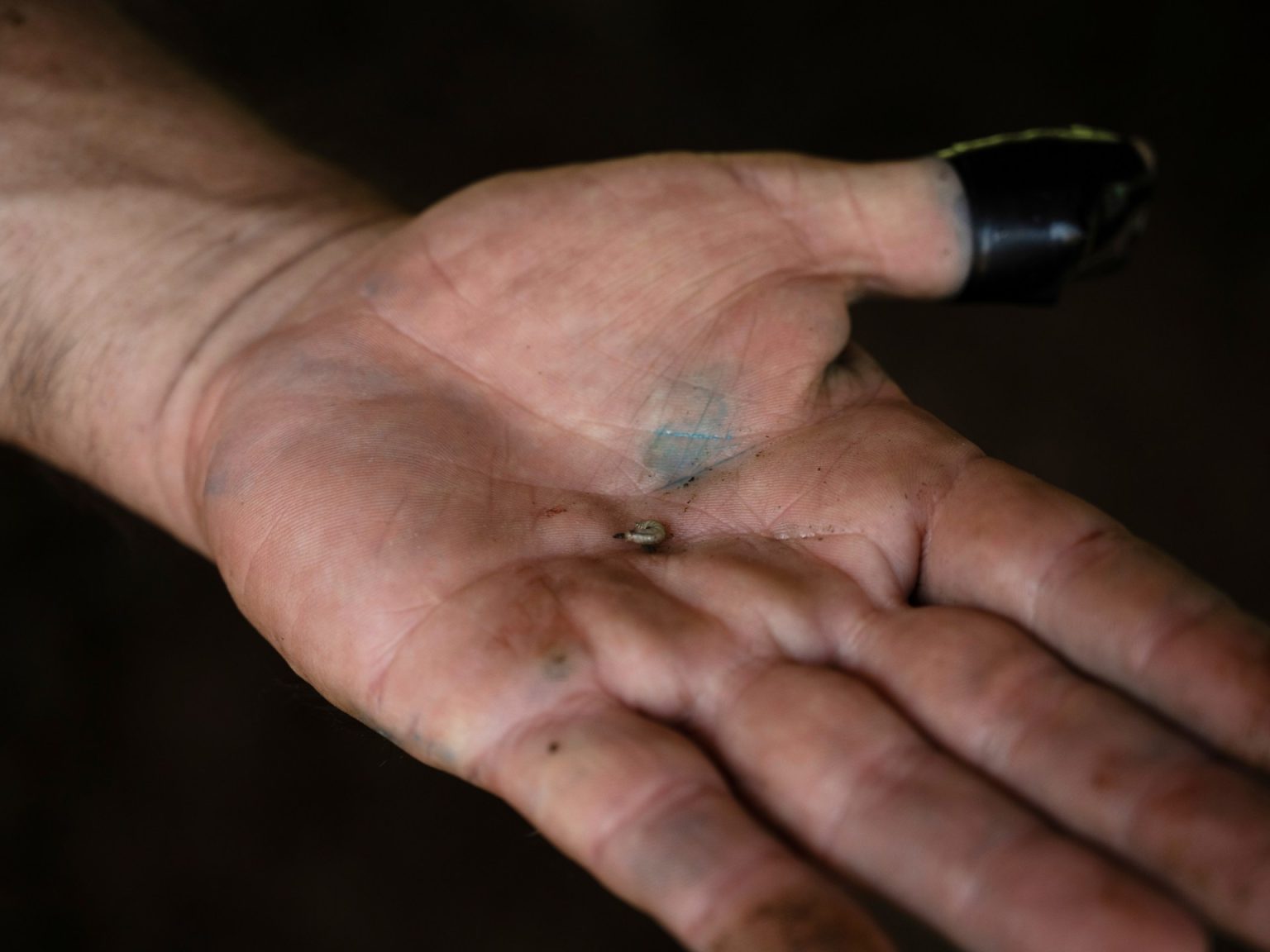 AP25205151939442 1756351065