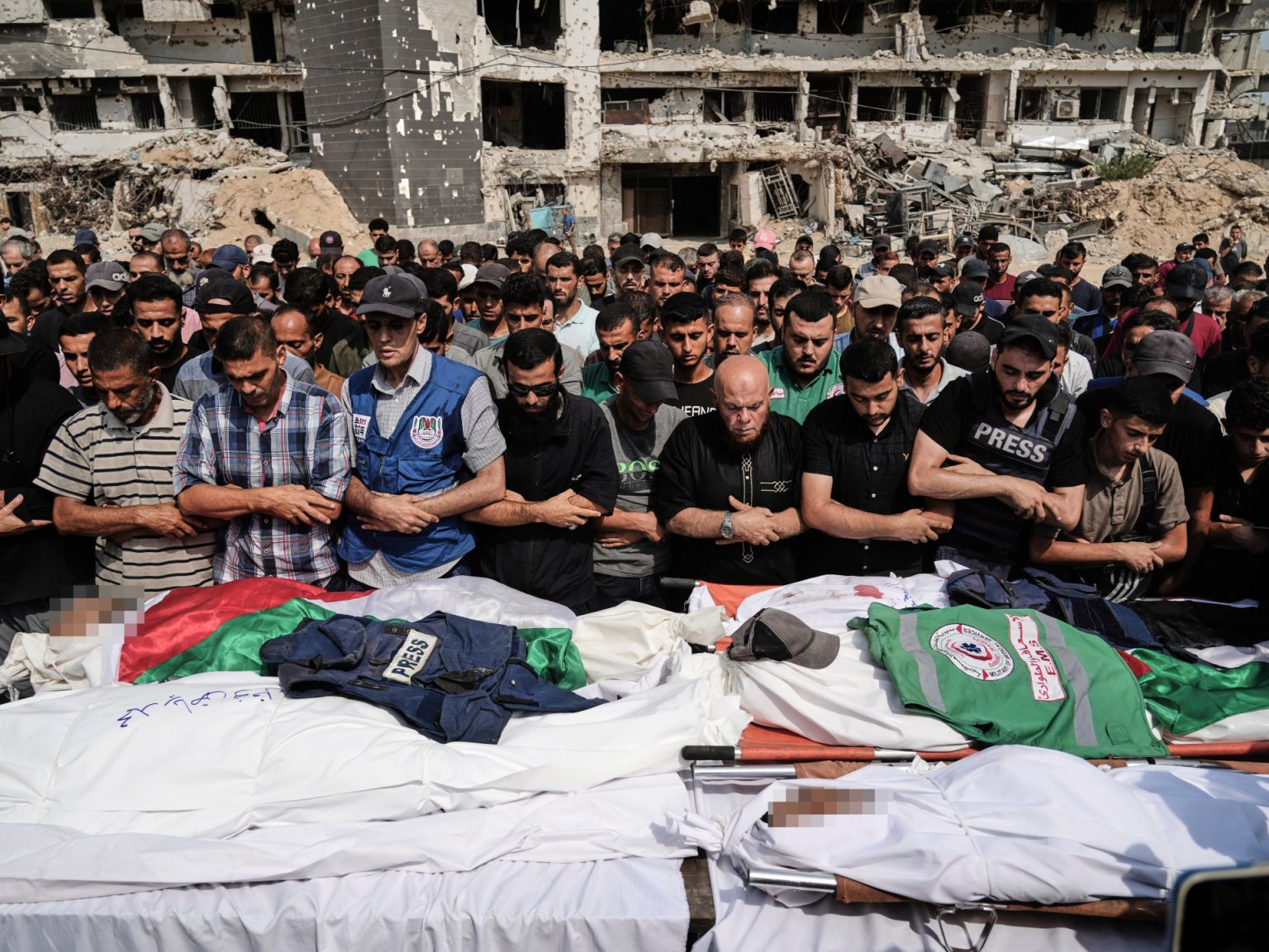 AP25223324775565 1755414297