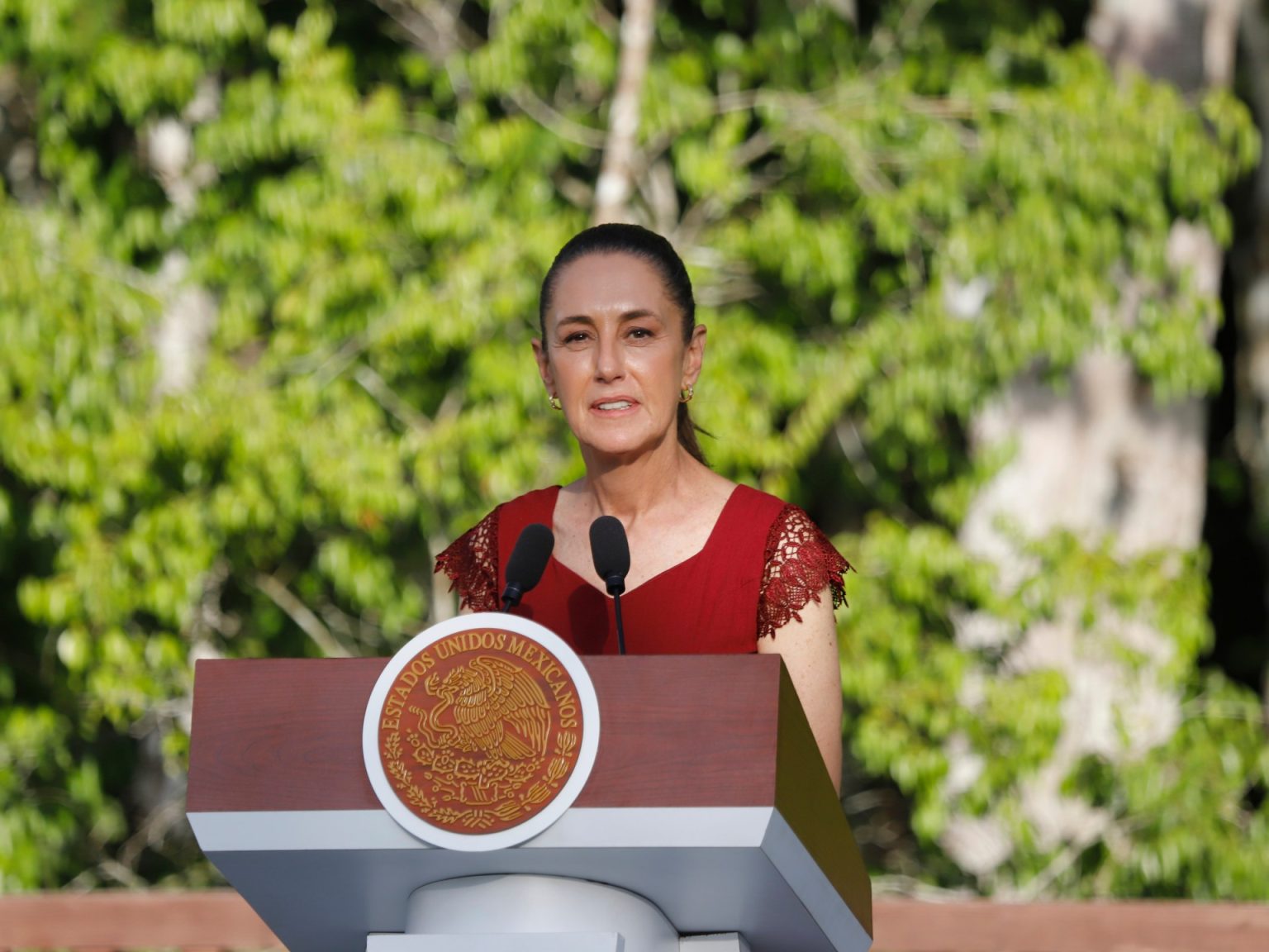 AP25227862786809 1755638028