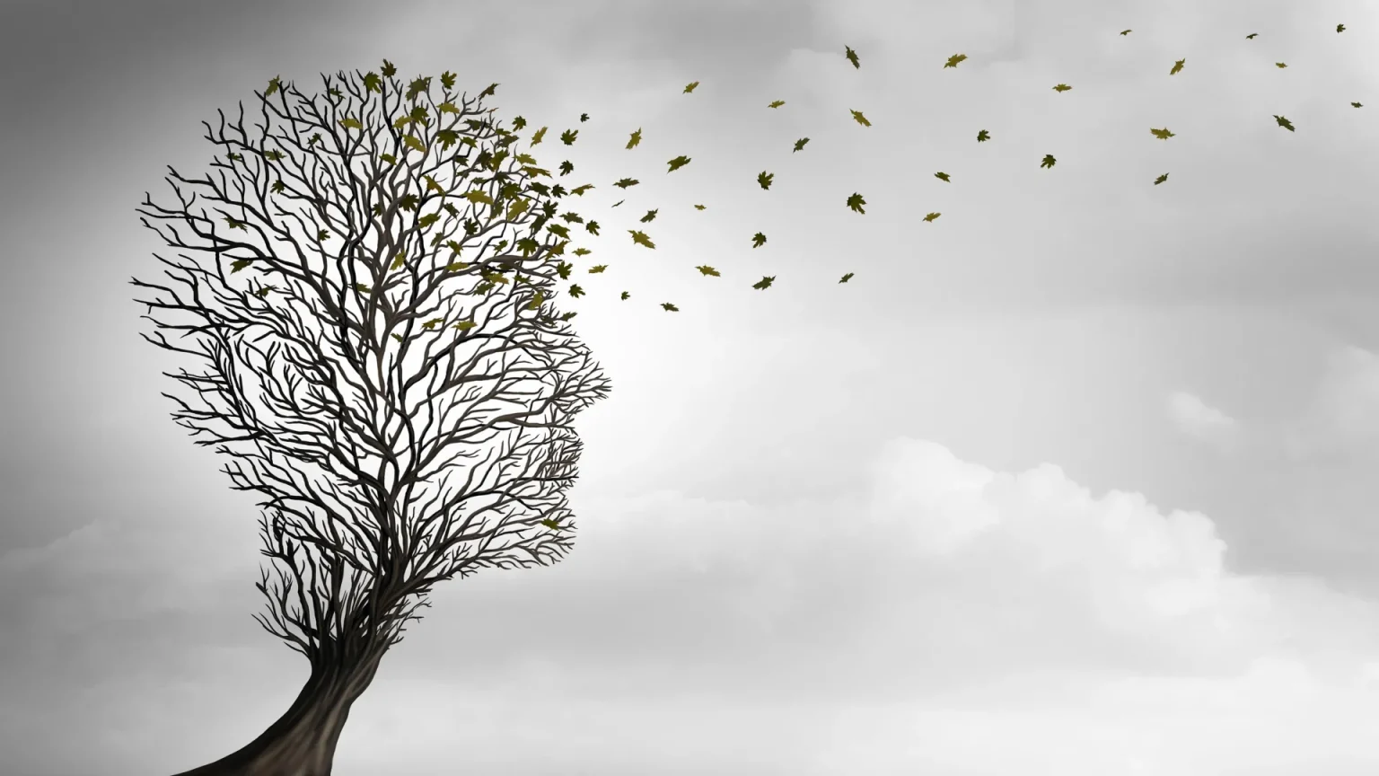 aging tree leaves human lifespan.webp