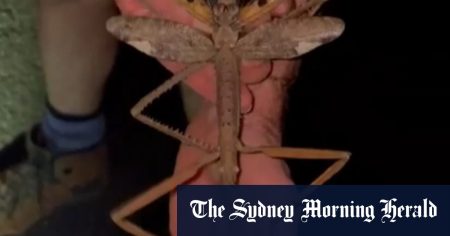 b38a0a506e97b8e471f853c424636b3887308ca6