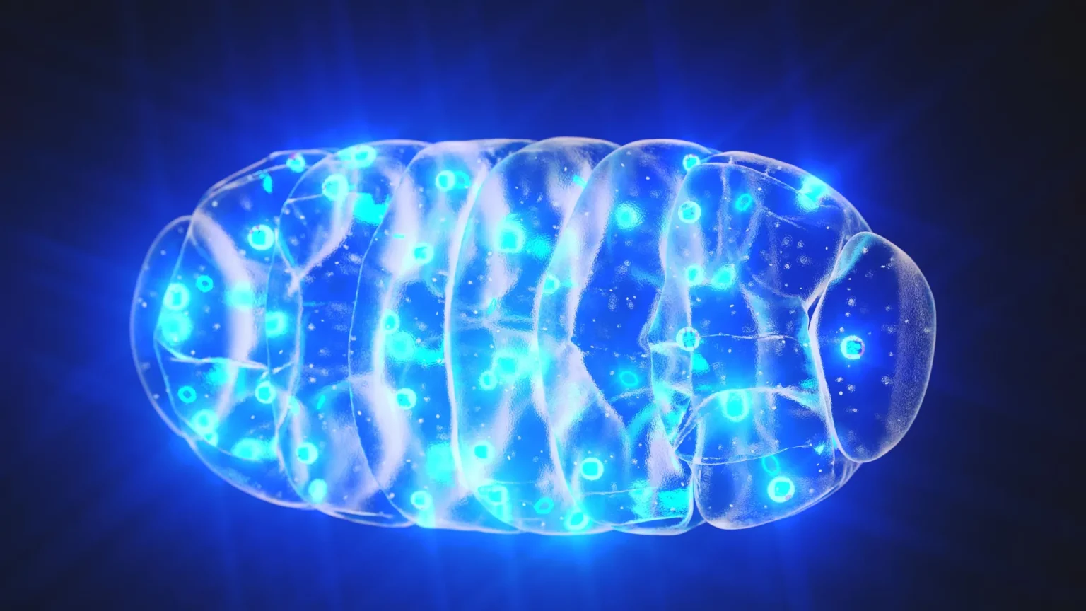 blue light glowing mitochondria.webp