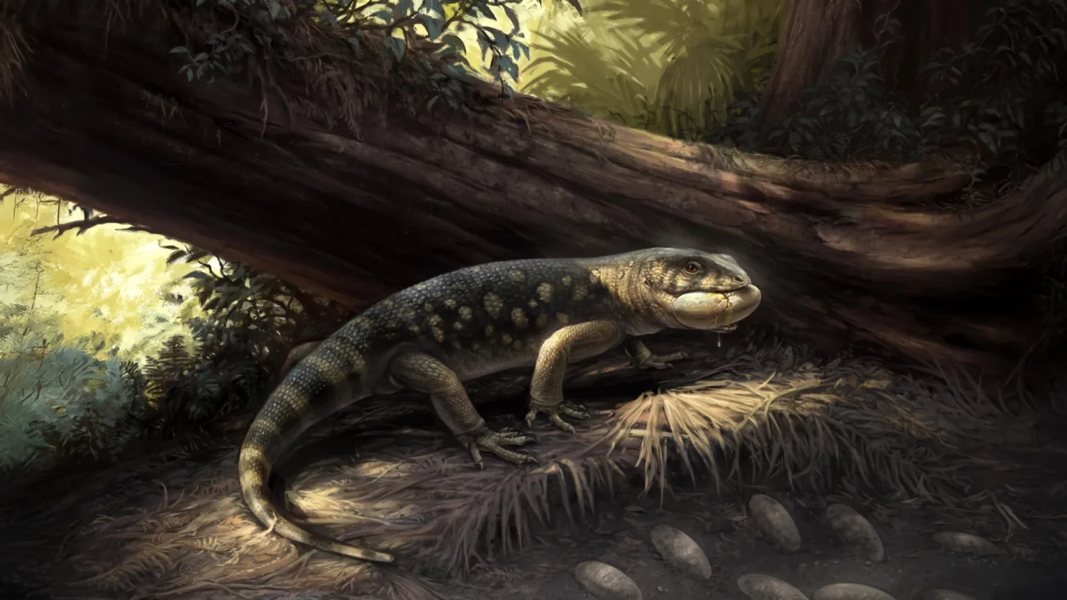 bolg amondol raiding oviraptorosaur dinosaur nest.webp