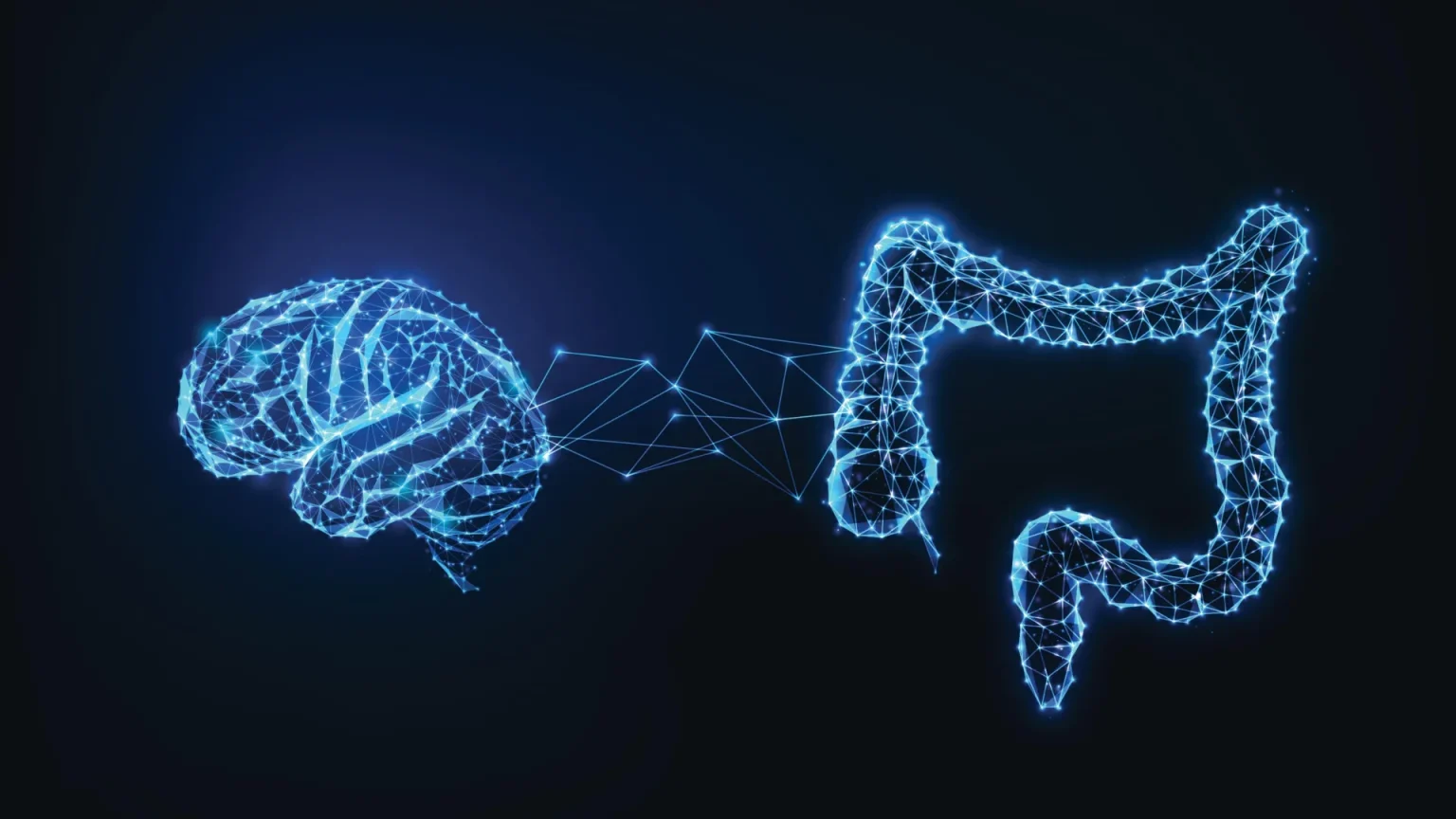brain gut connection.webp