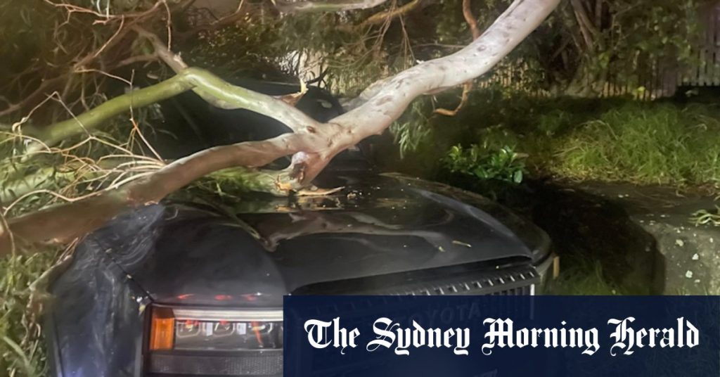 ccbd4f2b641e85f09cb4cae763de0cbc7d62f69d24ebc839db65f84135bb5725