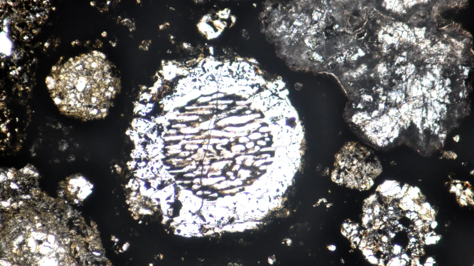 chondrules in meteorite sample.webp