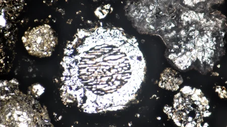chondrules in meteorite sample.webp