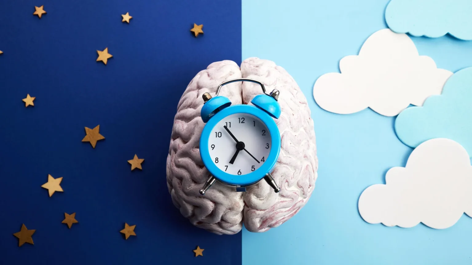 circadian rhythm brain clock night day.webp
