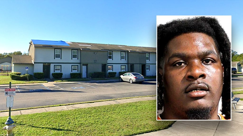 darchitray sapp apartment inset