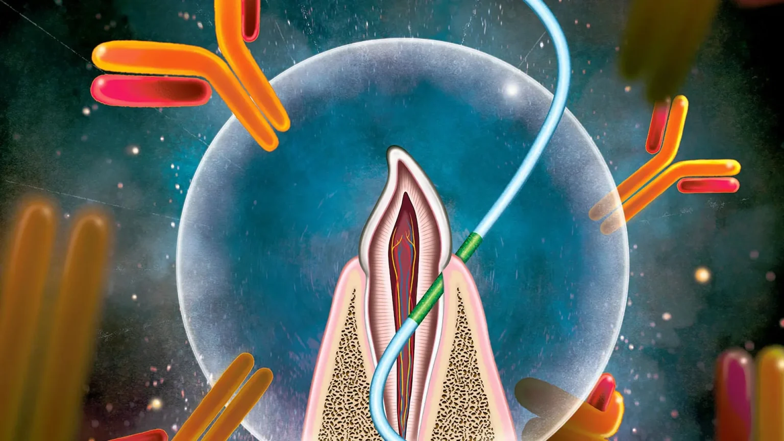 dental floss vaccine.webp