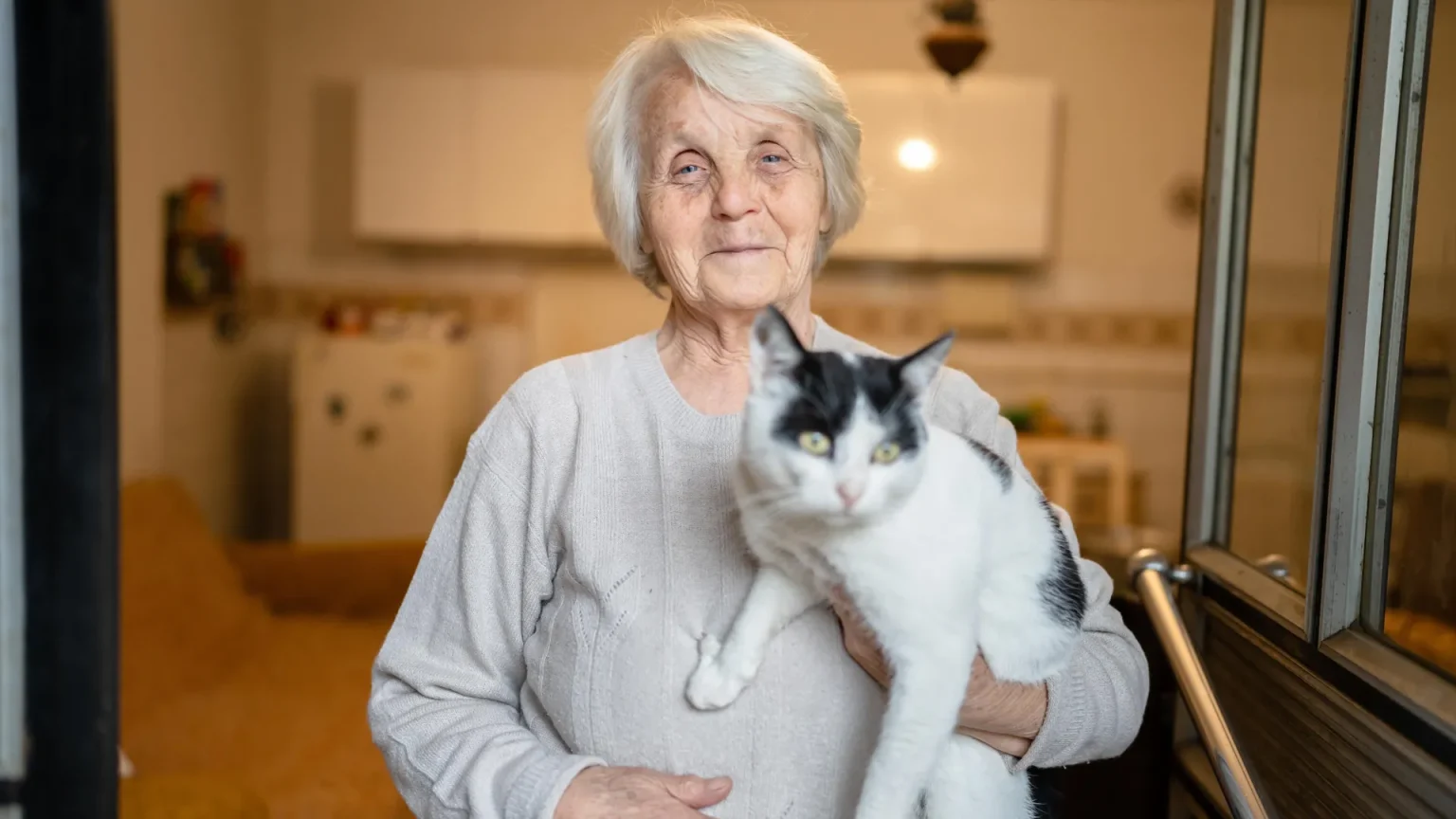 elderly woman with cat.webp