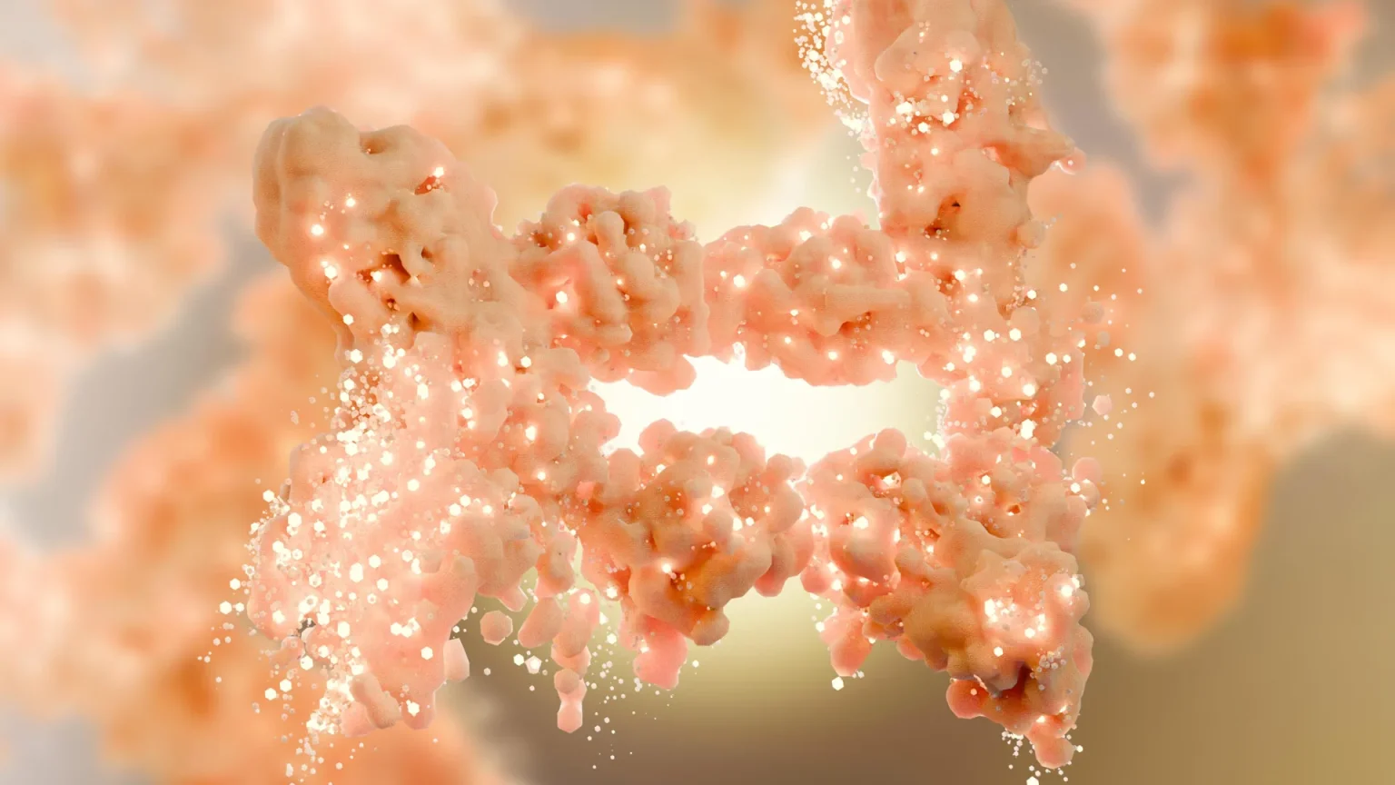 fat burning human tissue cells.webp