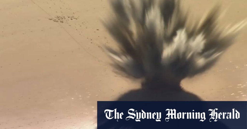 ffadc86c73e4bf4c3e28f67c2f3a064a9d124029