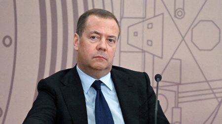 former russian president dmitry medvedev