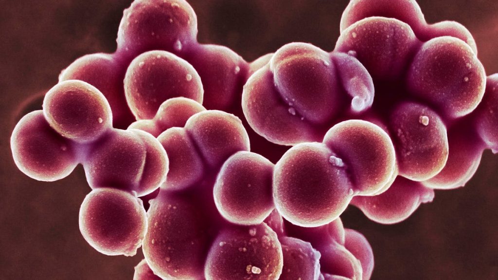 gettyimages 1201440496