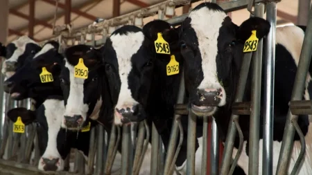 Array gettyimages 2139541959