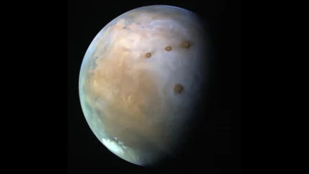 life could survive beneath the surface of mars.webp