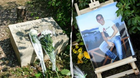 memorial tree cut ilan halimi