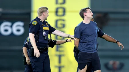 mlb astros fan 1 081725