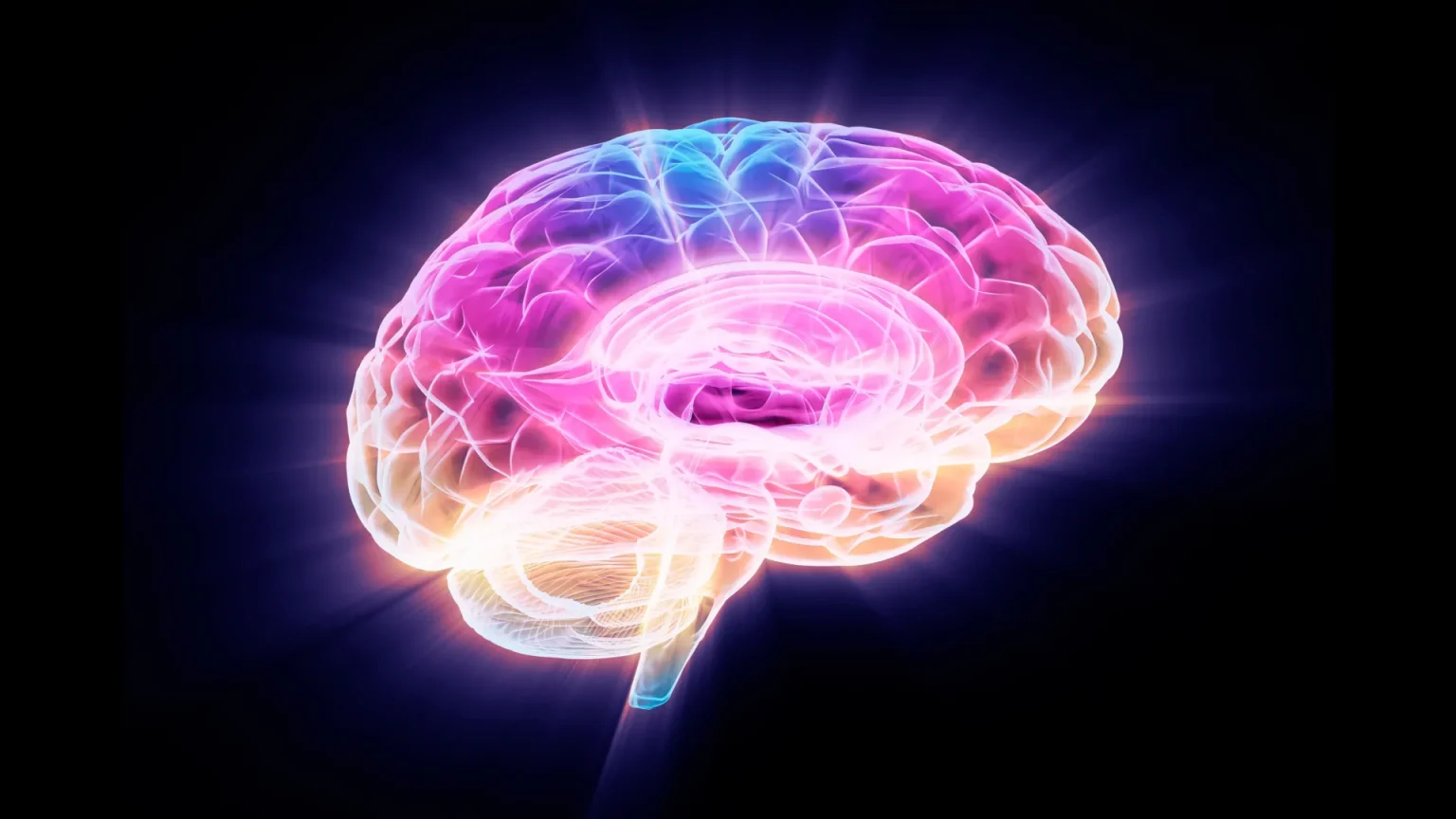 mult color glowing brain.webp