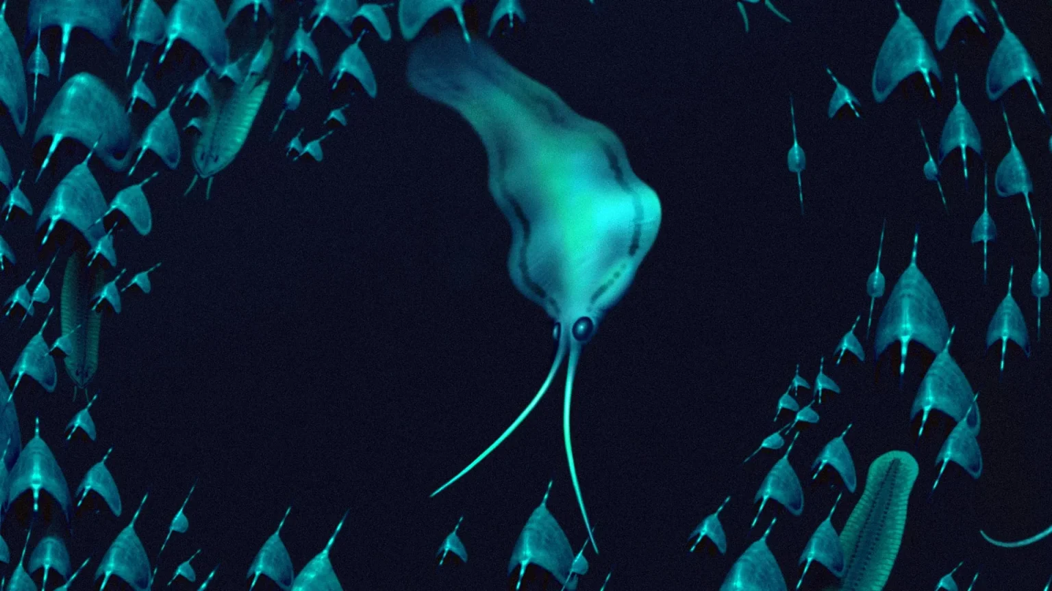 nektognathus swimming in cambrian sea.webp